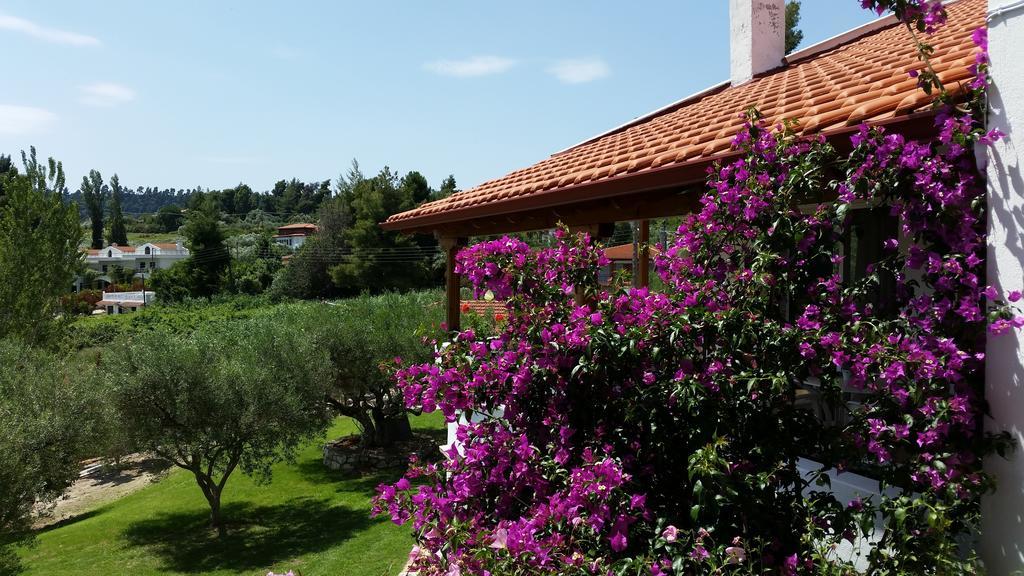 Apartamento Amparoudes Kriopigi Exterior foto